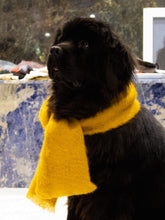 Charger l&#39;image dans la visionneuse de la galerie, ÉCHARPE CLASSIQUE EN MOHAIR, Blanc
