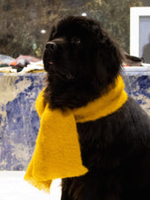 Load image into Gallery viewer, CLASSIC MOHAIR SCARF, Ash

